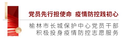 “最美志愿者、最艳‘志愿红”——榆林疫情防控志愿者风采展播（一）党员先行担使命 疫情防控践初心工作核酸社区