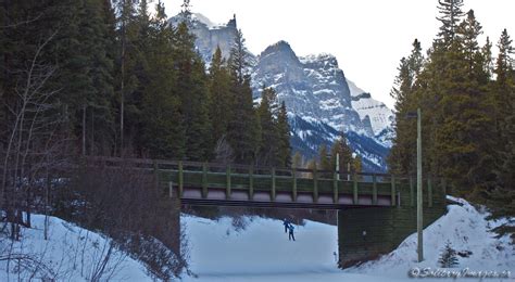 An overview of Canmore Nordic Centre's x-country trails