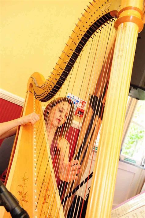 Bollywood Themed Harpist Solo Harp Player For Hire