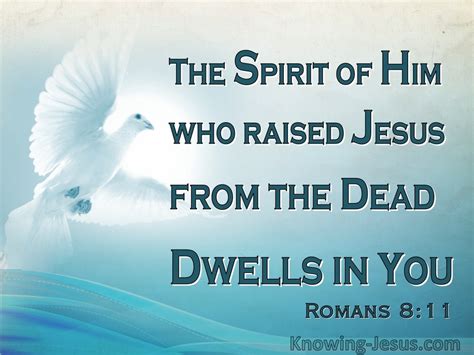 Romans He Who Raised Christ Dwells In You Aqua