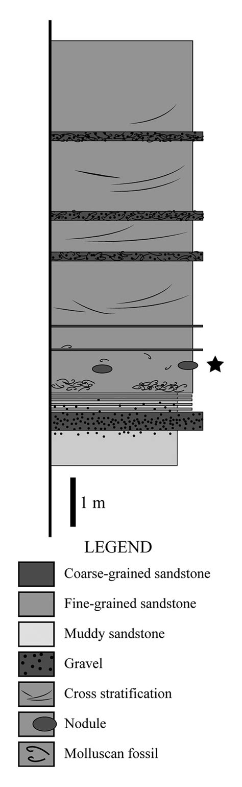 Stratigraphic Column Showing The Stratigraphic Position Of Kmnh Vp