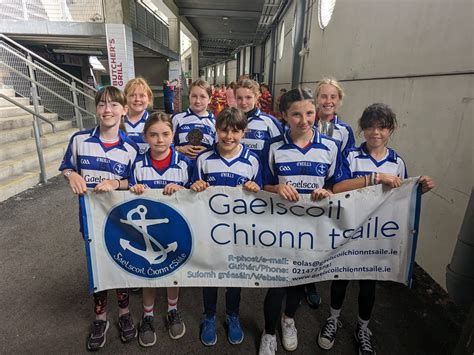 Sciath Na Scol Cail N P Irc U Chaoimh Gaelscoil Chionn Tsaile