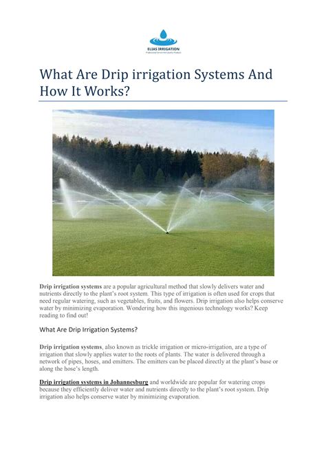 What Are Drip Irrigation Systems And How It Works By Elias Lrrigation