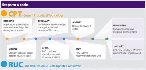 Current Procedural Terminology Cpt And Amaspecialty Society Relative