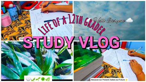 Weekend Study Vlog Life Of A 12th Grader Busy Day Productive Study