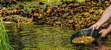 Cómo Es El Oro De Rio ¡conoce Sus Características Y Dónde Encontrarlo