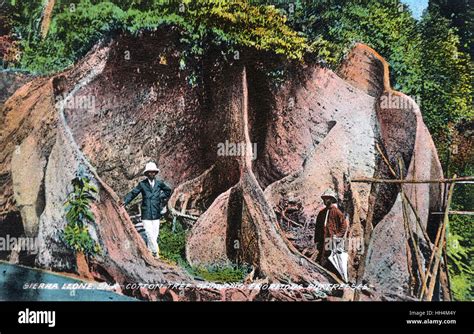 Enormous Fotos und Bildmaterial in hoher Auflösung Alamy