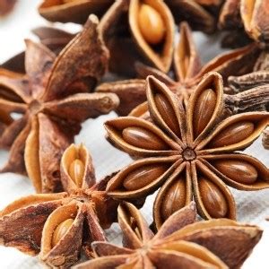 Organic Star Anise Essential Oil Wholesale Supplier in India