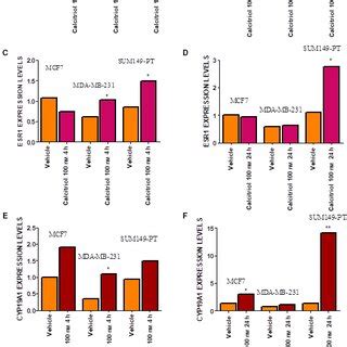 Calcitriol Treatment Induces The Reactivation Of Estrogen Signaling And