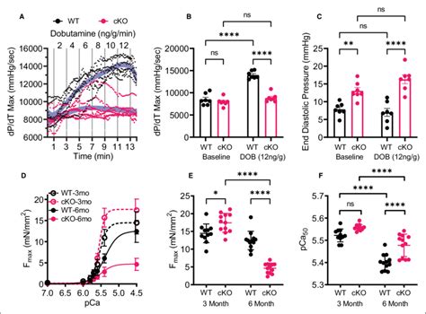 Cardiomyocyte Specific Sorbs2 Knockout Mice Sorbs2 CKO Have Severe