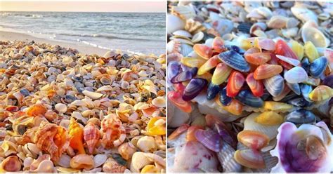 Best Beach In Destin To Find Shells Very Pleasing To Look At Weblog