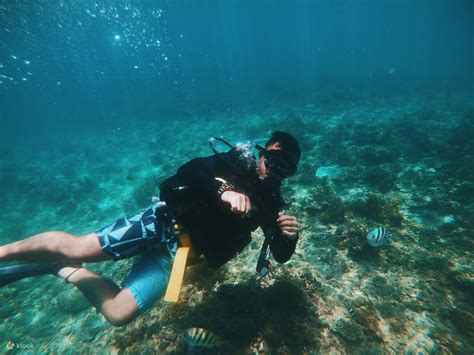 Pandan Pandan Island Snorkeling Day Tour In Sabah Klook United States