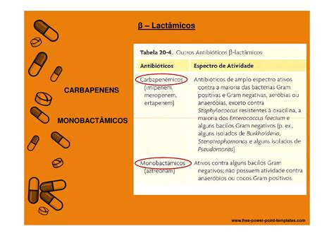 Mecanismo De A O Dos Antimicrobianos Ppt