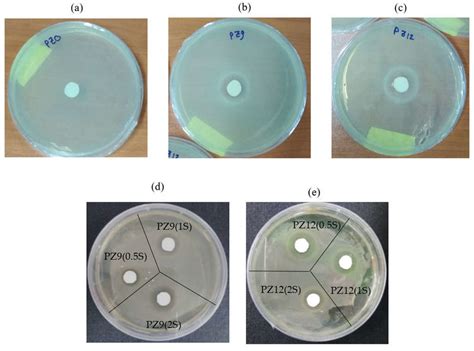 Zones Of Inhibition Around A Pure Pan Nanofiber B Unmodified Pz