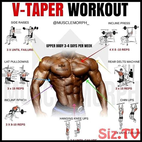 Bodybuilding Workout Routine For Beginners - Photos