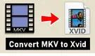 How To Convert TS To Xvid On Windows