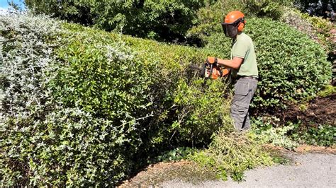 Tidying Homeowners Overgrown Driveway Area Youtube