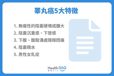 睪丸癌摸得出來！蛋蛋又硬又不會痛的男生，先掛號吧！ 健康010