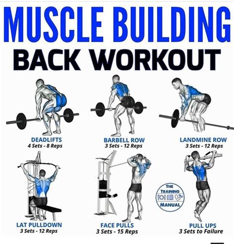 Muscle Building Back Workout Gym Workouts For Men Back Workout Routine Back Workout