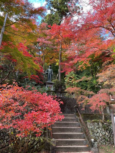 東郷公園秩父御嶽神社の紅葉情報【2024】 ウェザーニュース