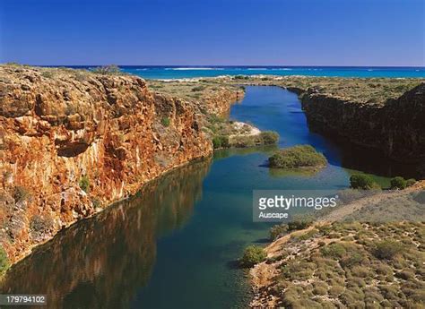 305 Cape Range National Park Stock Photos High Res Pictures And