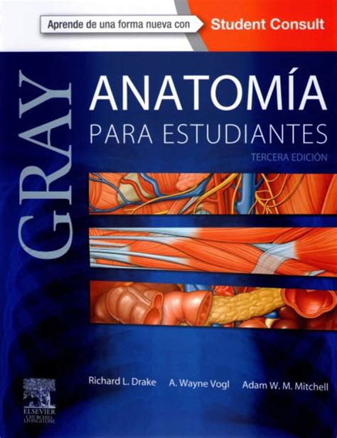 Gray Anatom A Para Estudiantes