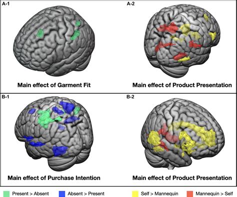 Frontiers Neural Correlates Of Garment Fit And Purchase Intention In