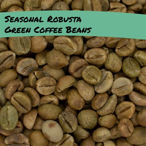 Seasonal Robusta Green Coffee Beans for home roasting - RAVE COFFEE