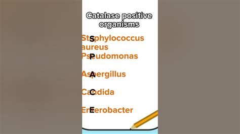 Catalase Positive Organisms Mnemonic Youtube