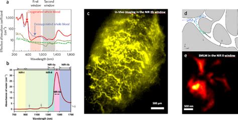 Near Infrared Bioimaging With Nanoparticles A B The Different