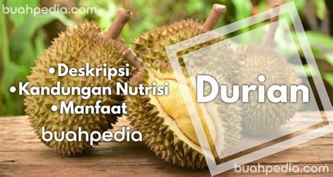 10 Buah Asli Indonesia Yang Mendunia Nomor 1 Paling Eksotis Buah Pedia