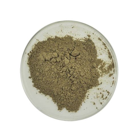 China Chinese Professional Andrographis Paniculata Extract Capsules