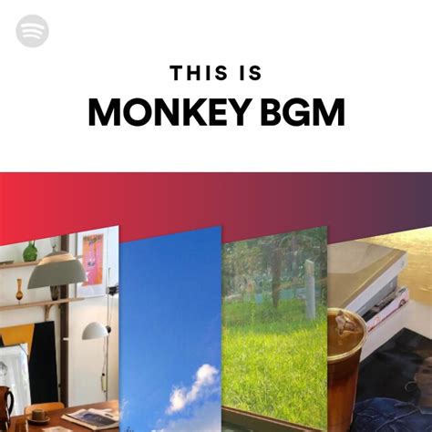 This Is MONKEY BGM Playlist By Spotify Spotify