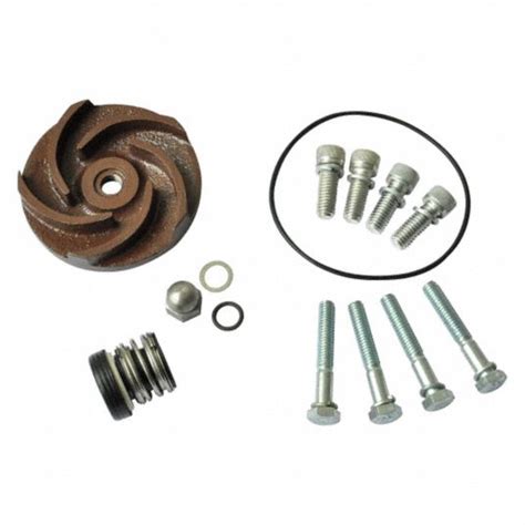 Dayton Pump Repair Kit Fits Brand Dayton 21tg3621tg36 Grainger