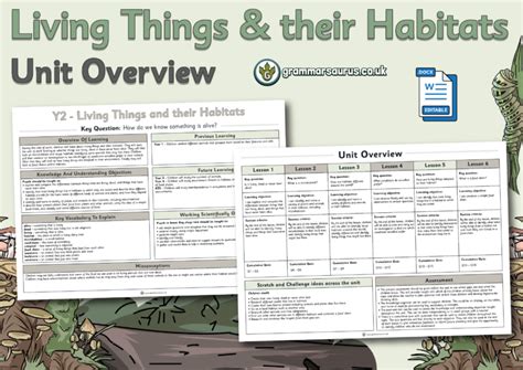 Year 2 Science Living Things And Their Habitats Unit Overview Grammarsaurus