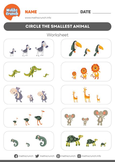 Circle the Smallest Animal - Kindergarten Worksheet for Kids | Maths Crunch