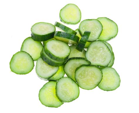 Sex Cucumber Stock Image Image Of Organ Cucumber Reproduction 15479333