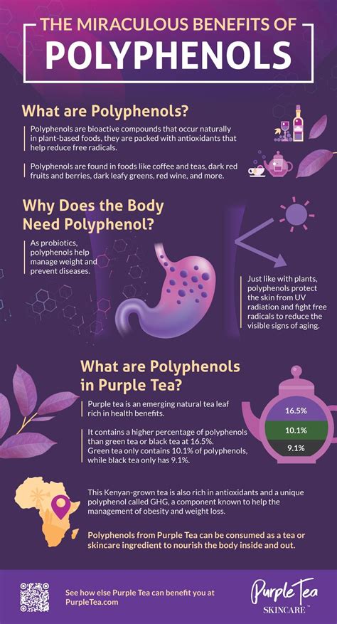 Pin on Infographics | Purple Tea