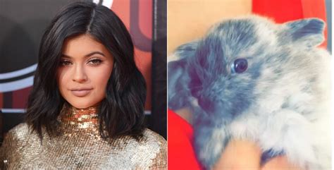 Kylie Jenner Adopted A Bunny And Named Him Bruce