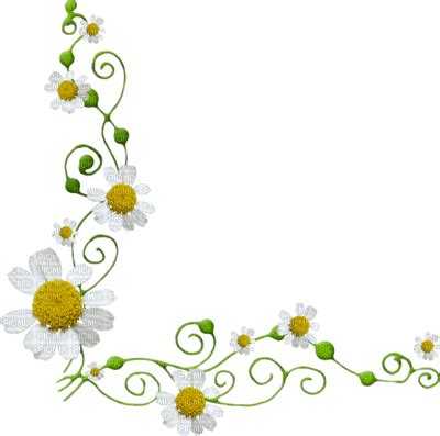 Free Clip Art Daisy Flower Border Home Alqu