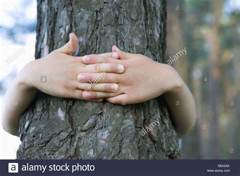 Child Arms Around Tree Trunk High Resolution Stock Photography And