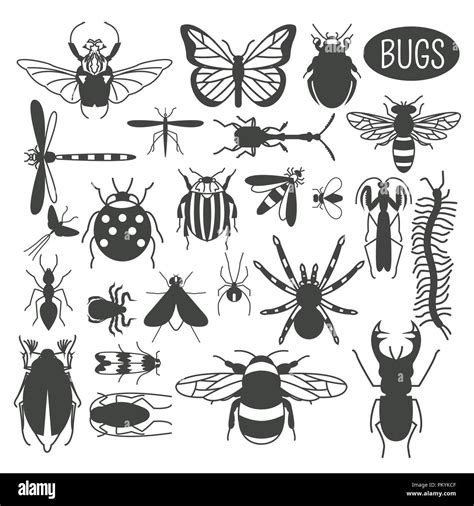 Insects Icon Flat Style 24 Pieces In Set Colour Version Vector