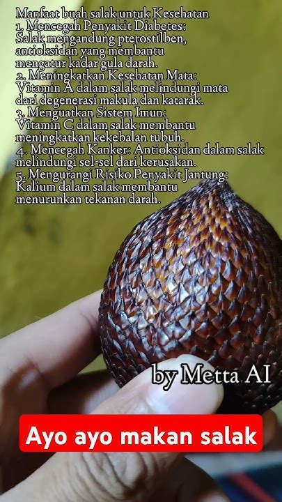 sego sak kepel dirubung tinggi petanibuah youtube