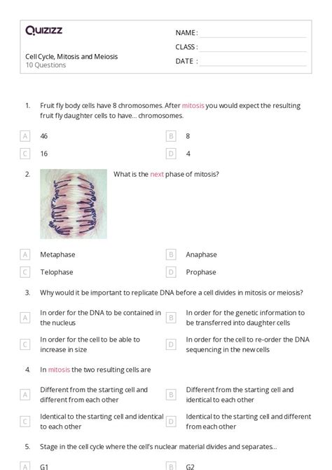 The Cell Cycle And Mitosis Worksheets On Quizizz Free Printable