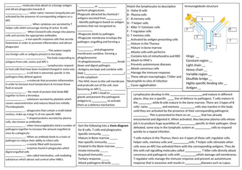 Revision Summary Sheets And Answers Ocr A Biology A Level Y1213 Teaching Resources