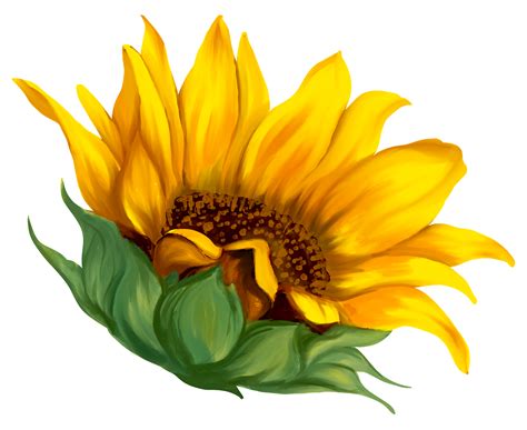 Pintura De Arte De Flor De Girasol 9667942 Png