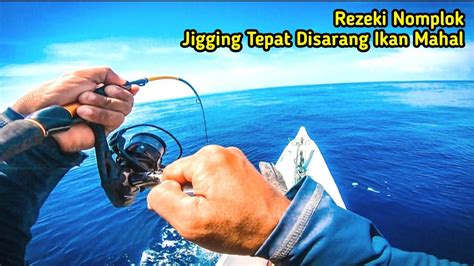 Gak Nyangka Jigging Kali Ini Tepat Disarang Ikan Mahal Auto Panen Youtube