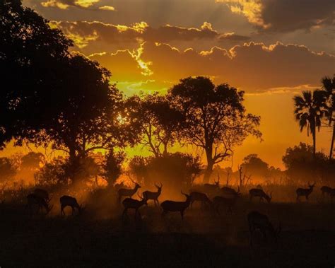 See the winners of our 20th annual Travel photo contest | Travel photos ...