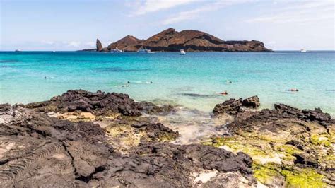 Isole Galapagos Le Pi Belle Costa Crociere