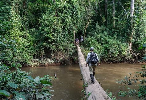 Hiking Guided Nature Walks In Murchison Falls Safari Vacations